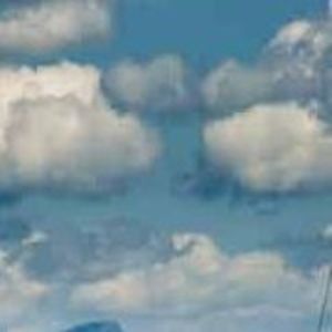 Meet your Posher, Dee